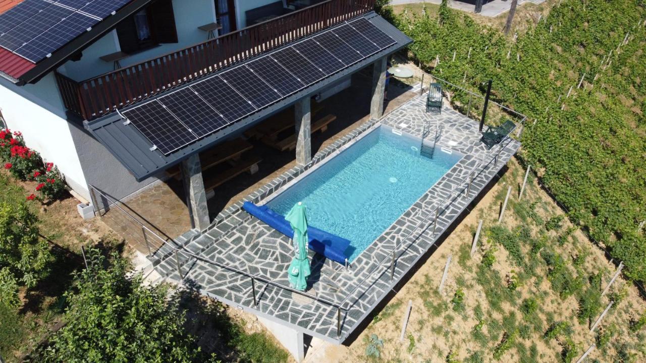 Vineyard Paradise Senica Dramlje Εξωτερικό φωτογραφία